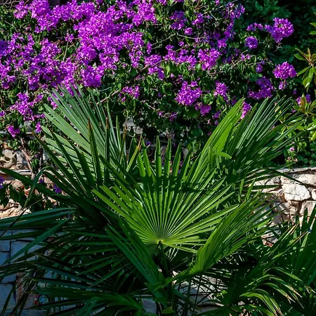 Hidden Heaven Private - Heated Pool Milna (Brac)